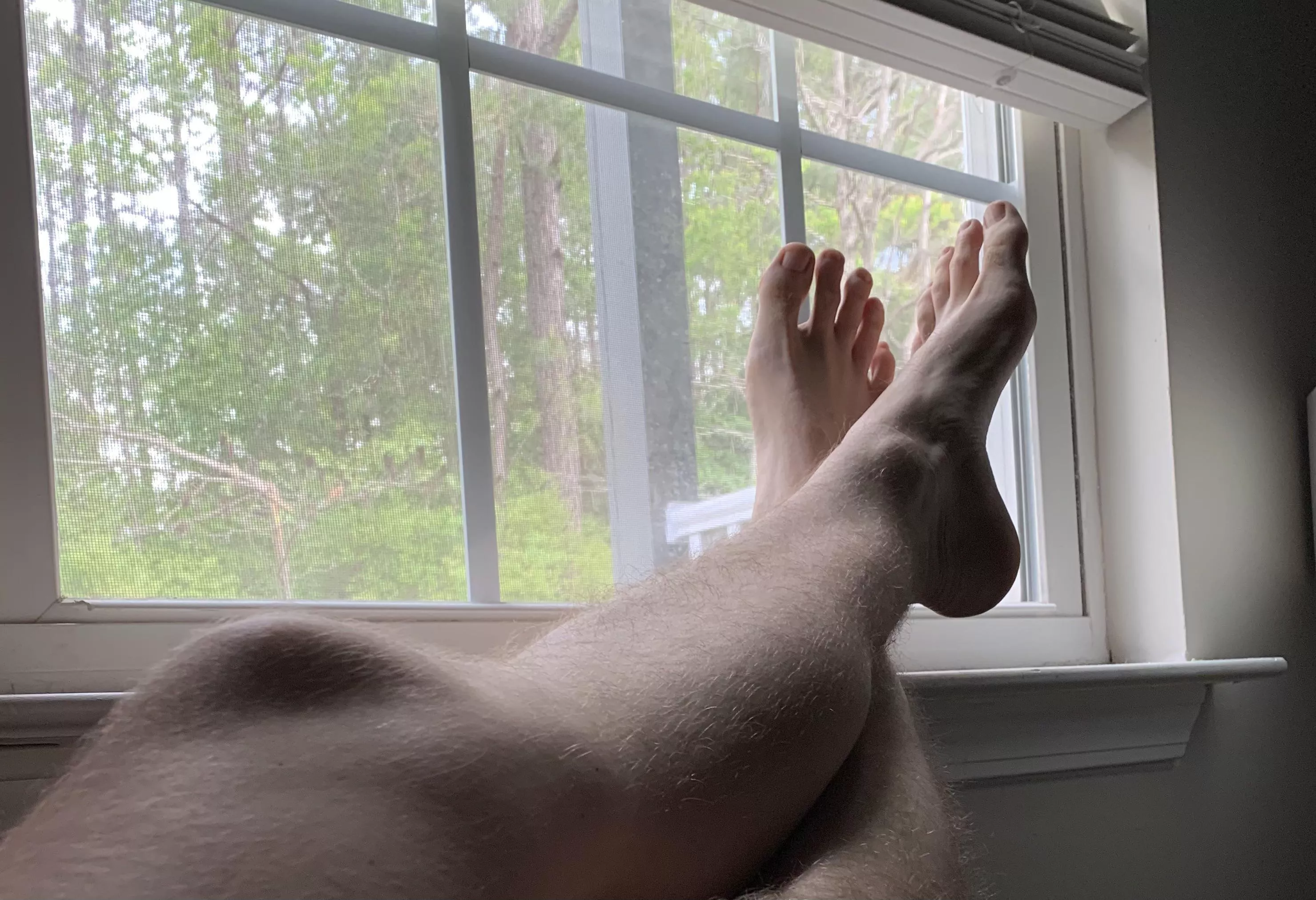 Basking in the morning light. What’s running through your mind? posted by hottubsexmachine18