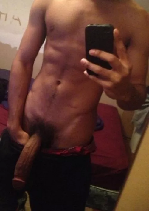 BBC to prove its better by 8inHungMixedBull