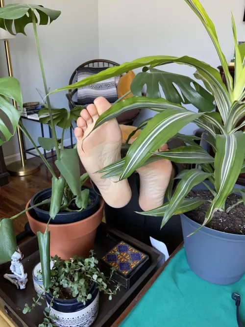 Be careful, it’s a jungle out there by Daily_Feet_