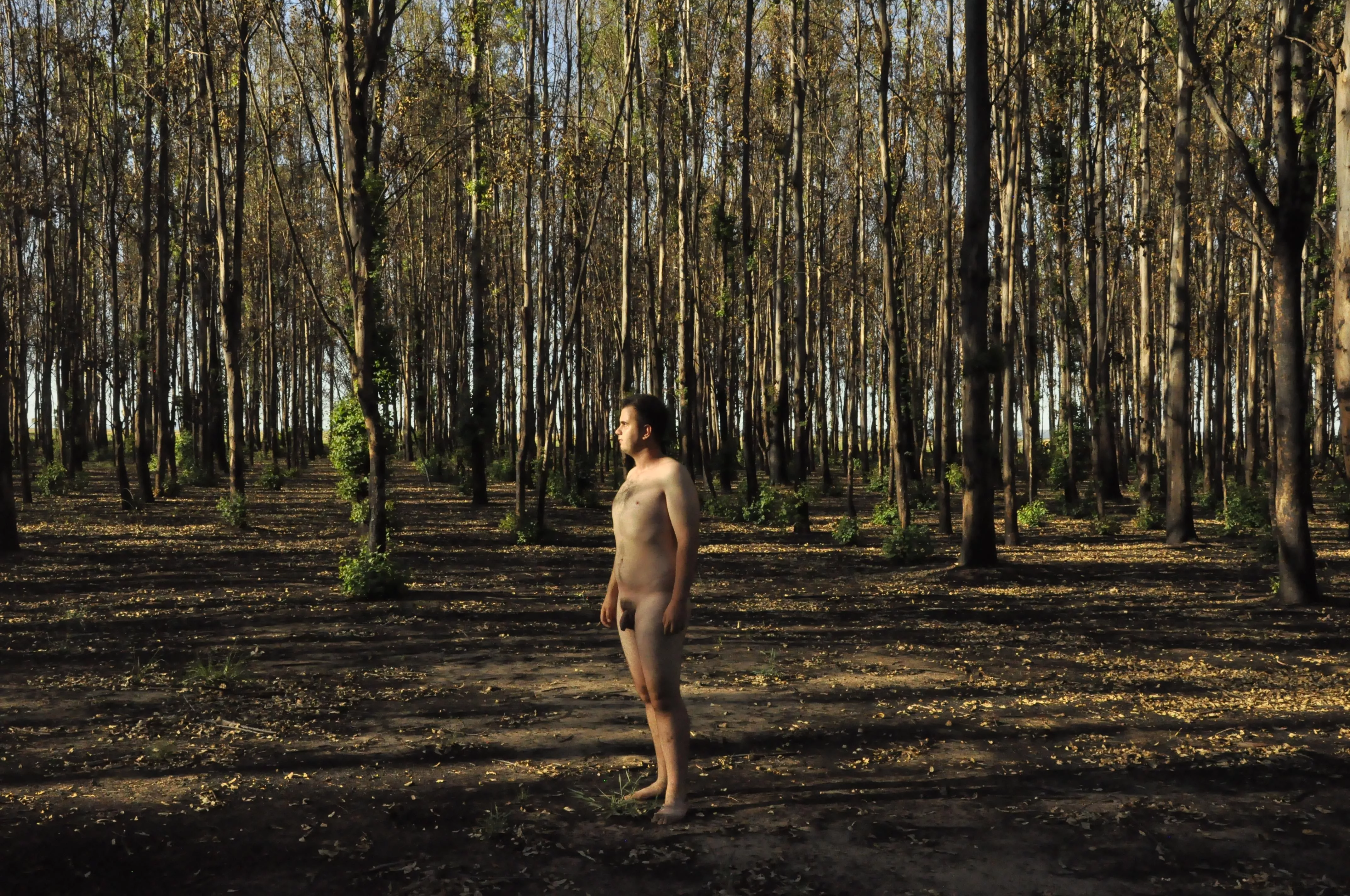 Be Free🌲🌲 posted by GiantNudistGuy