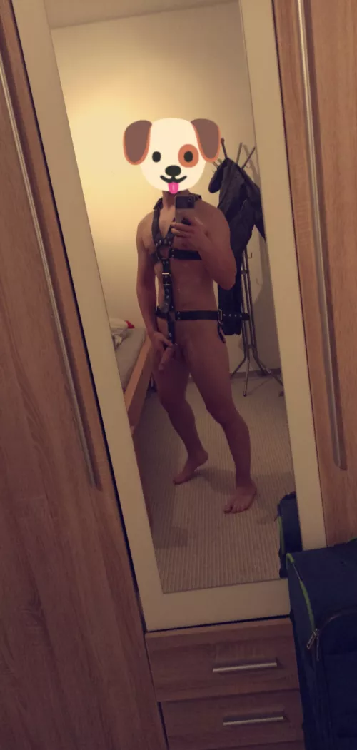 Be nice :) [m]22 by mceumel