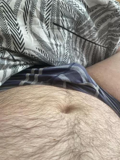 Bear enough? by adamr1601