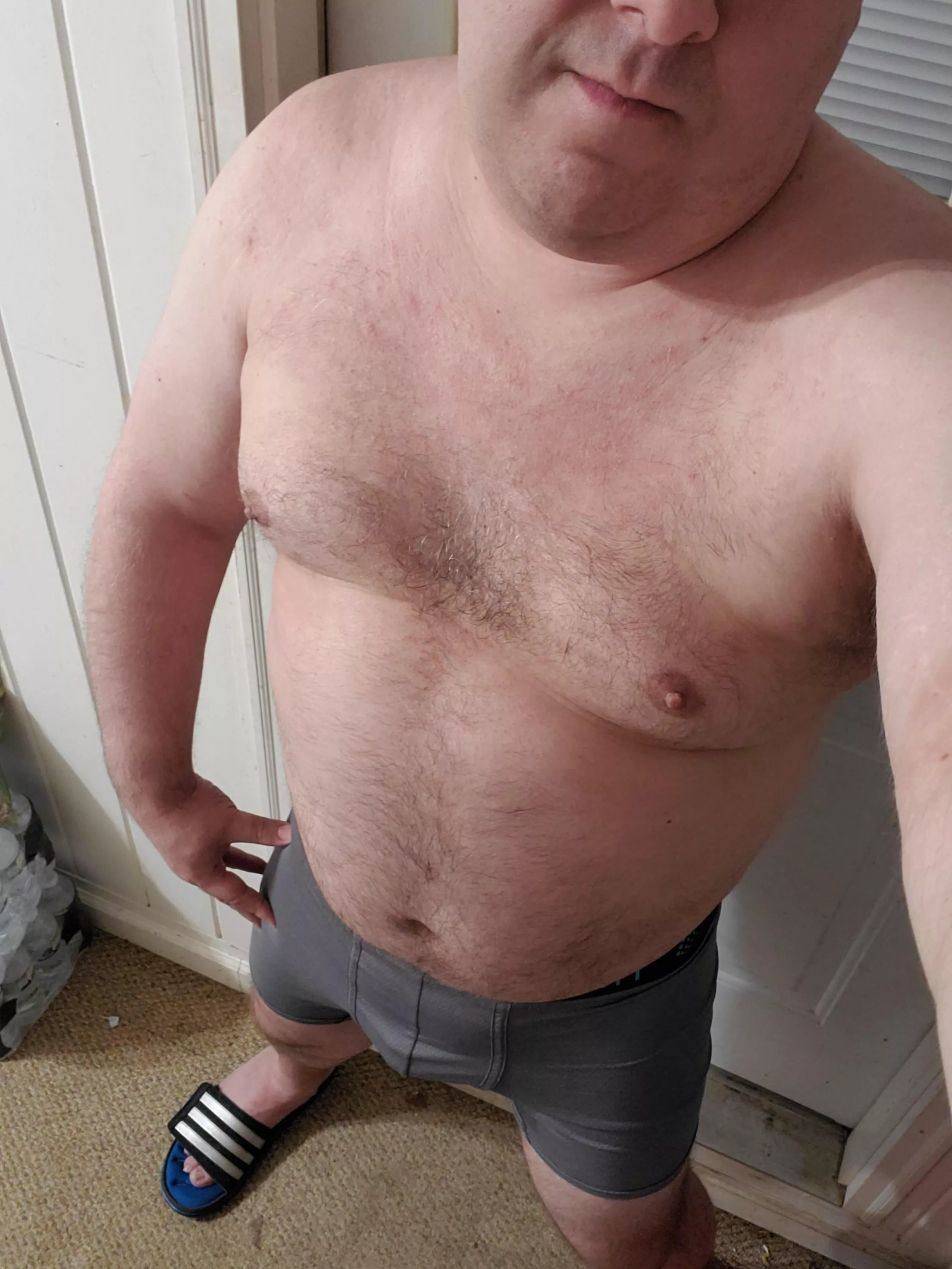 Bear showing off his goods posted by Jameson4243