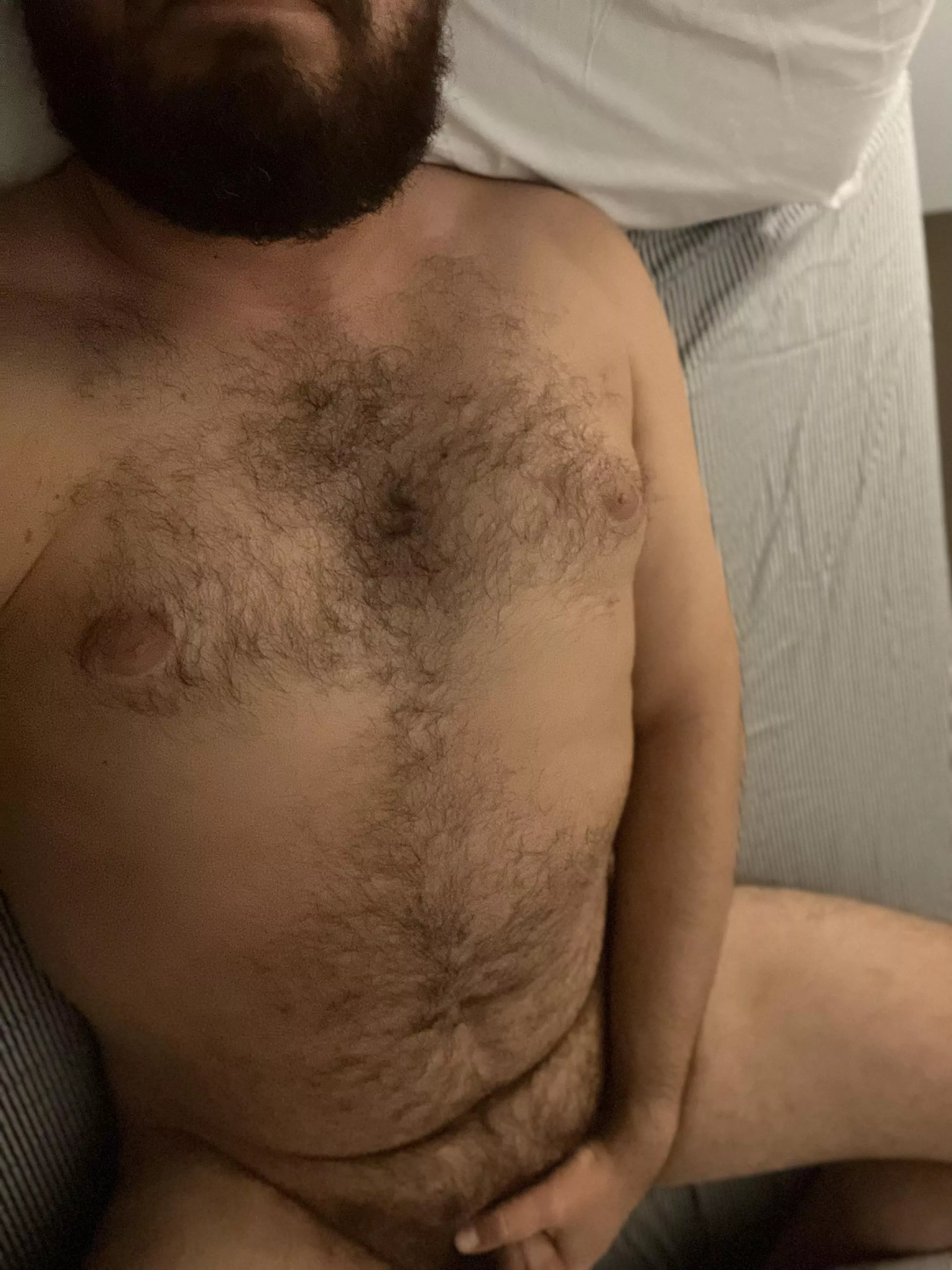 Beard full, now to get this boner full. posted by jo_bro_