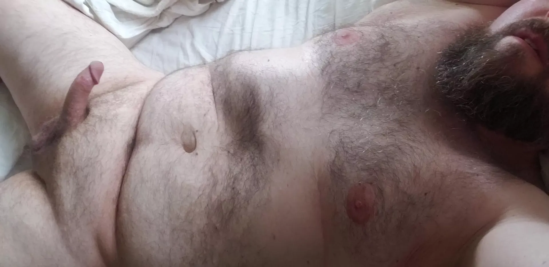 Beard, Hairy and Chubby.. Am I doing this right? posted by Queasy_Gate2702