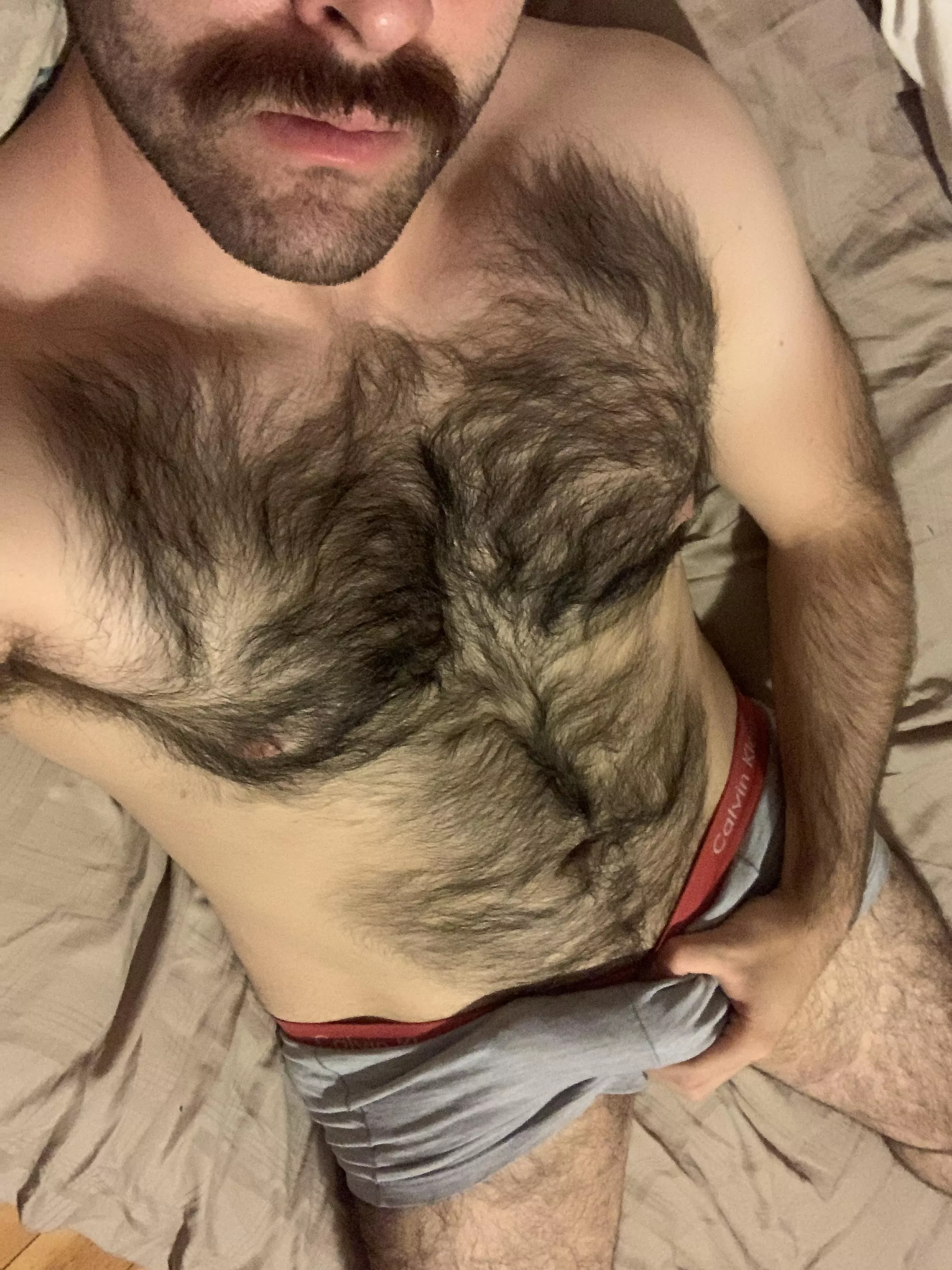 ??Beard is gnoe, but m still thicc and hairy post lockdown posted by creditadjustment