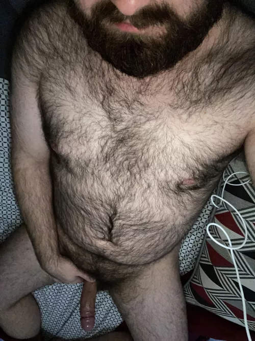 Bearded and hard gay bear. Extra fur! 🐻 by beardnhairy
