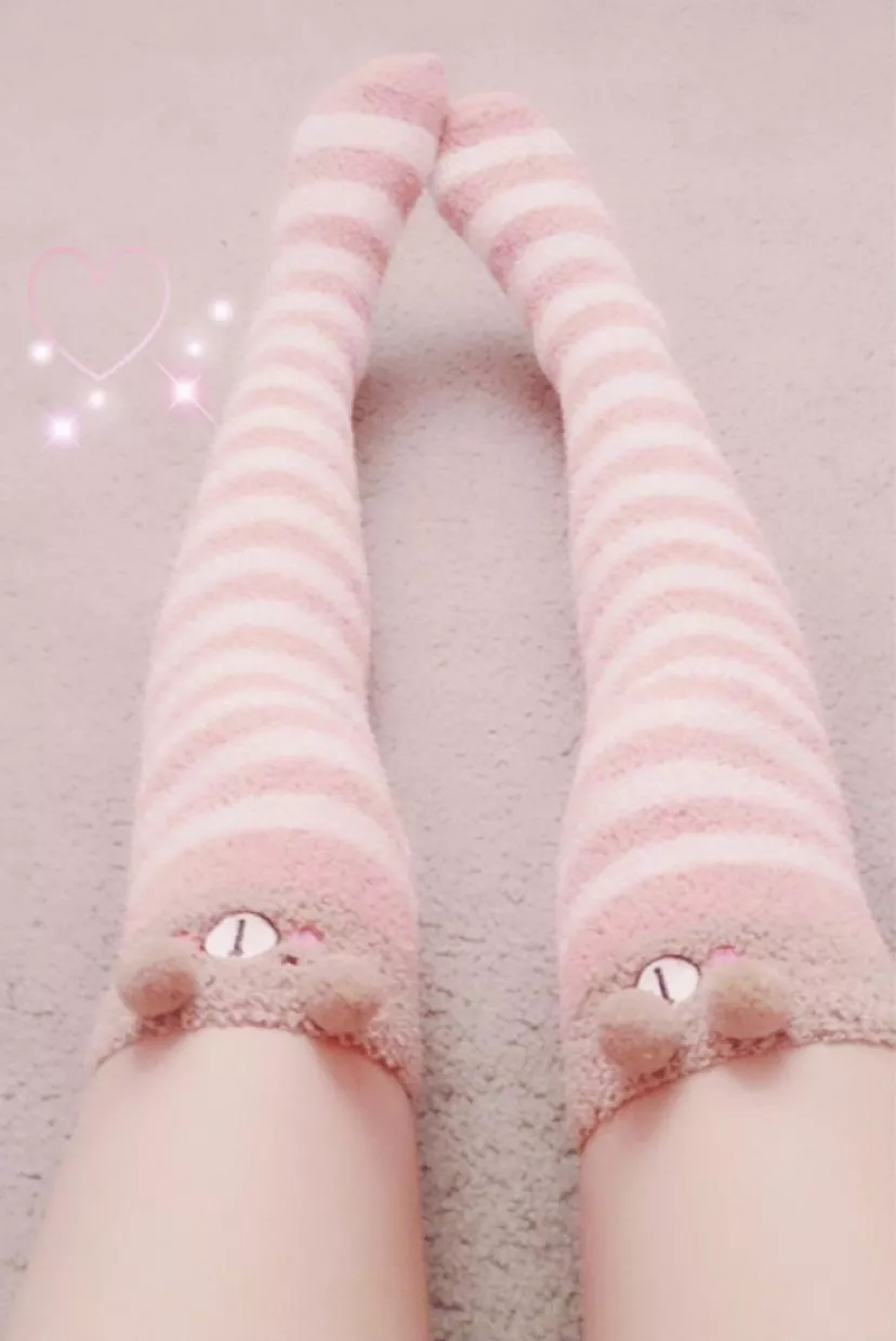 bears :) posted by angelhearts309