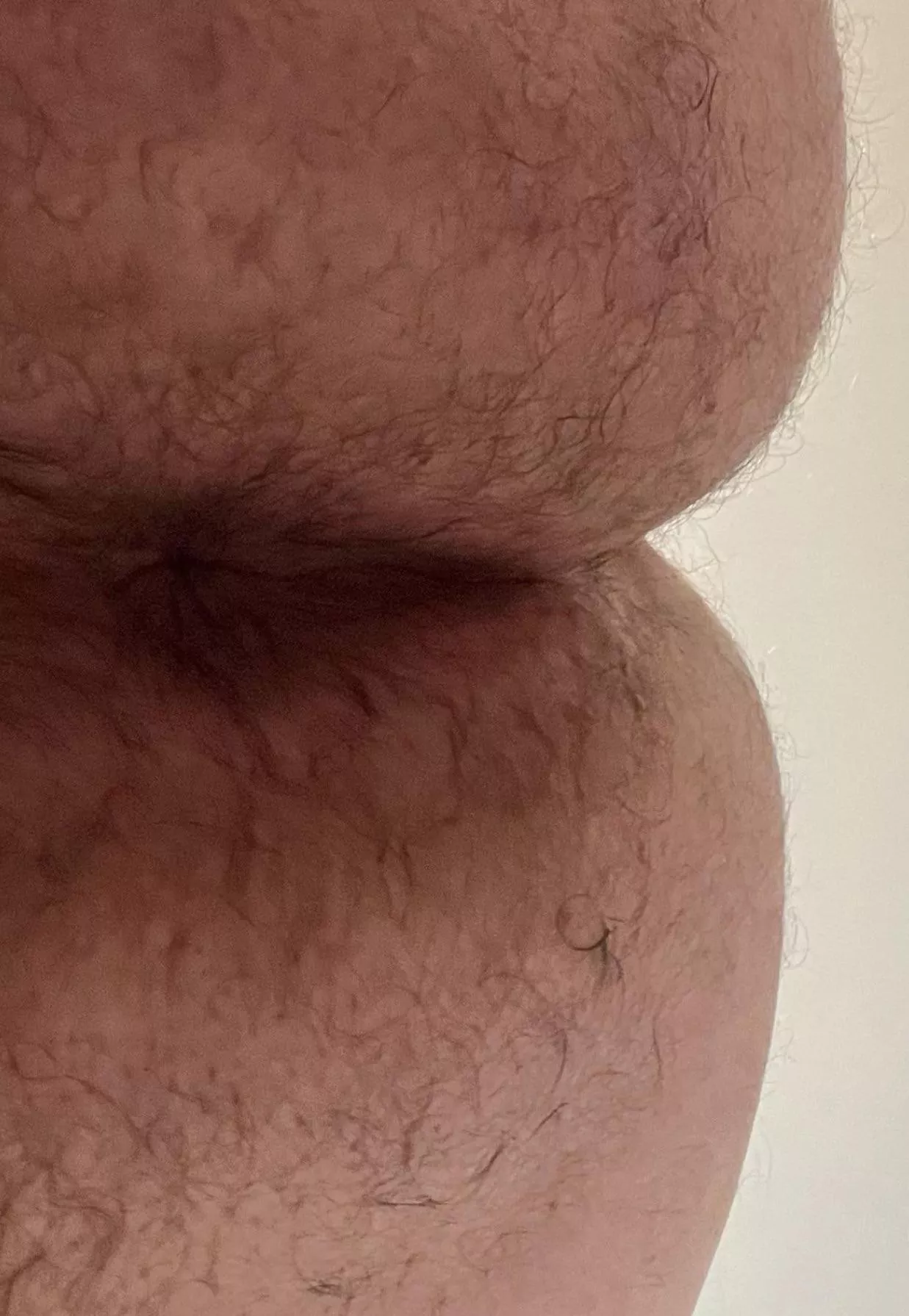 Beat my fat cheeks. posted by PlateConnect