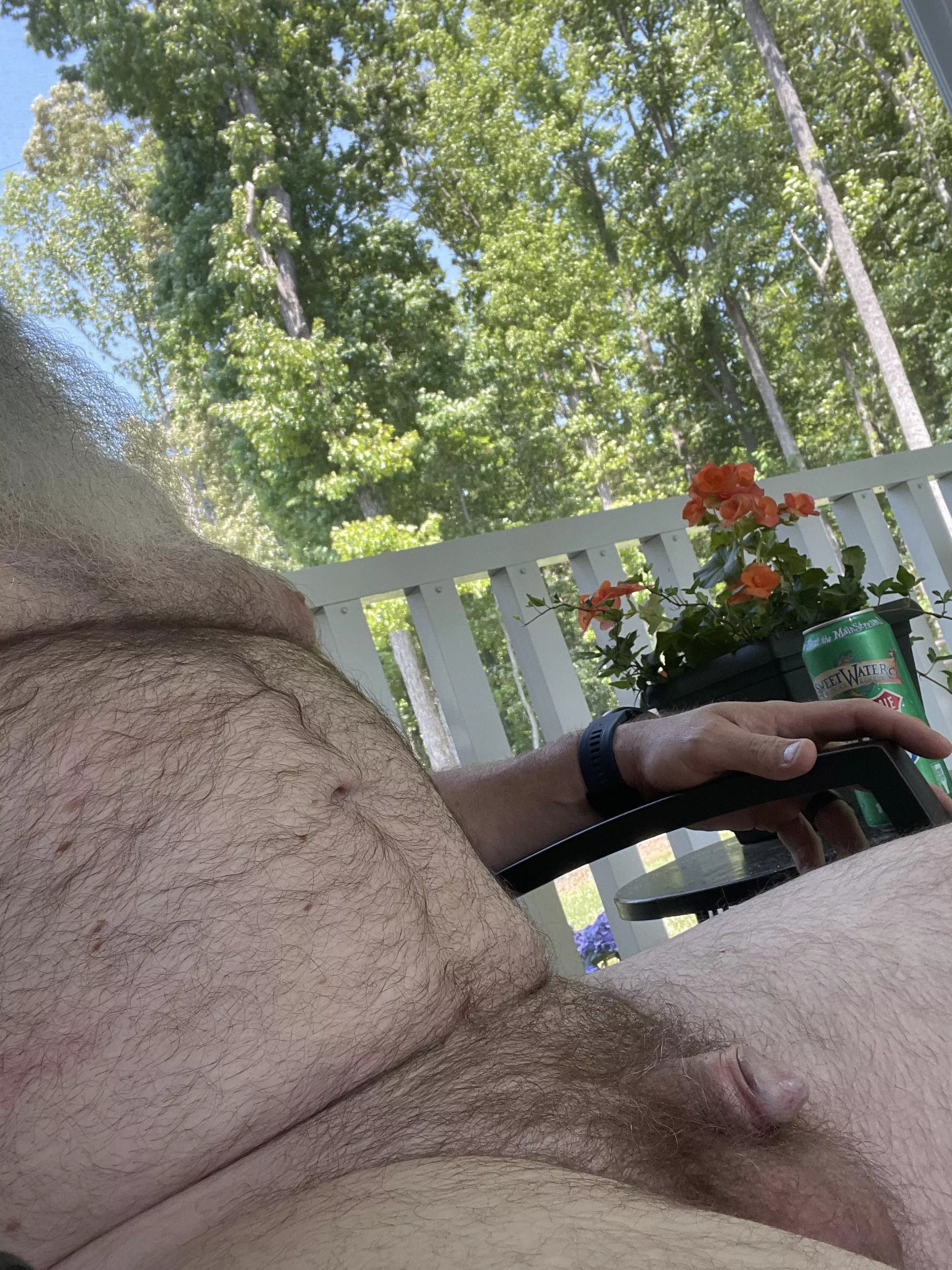 Beautiful afternoon posted by Harry-Danglers