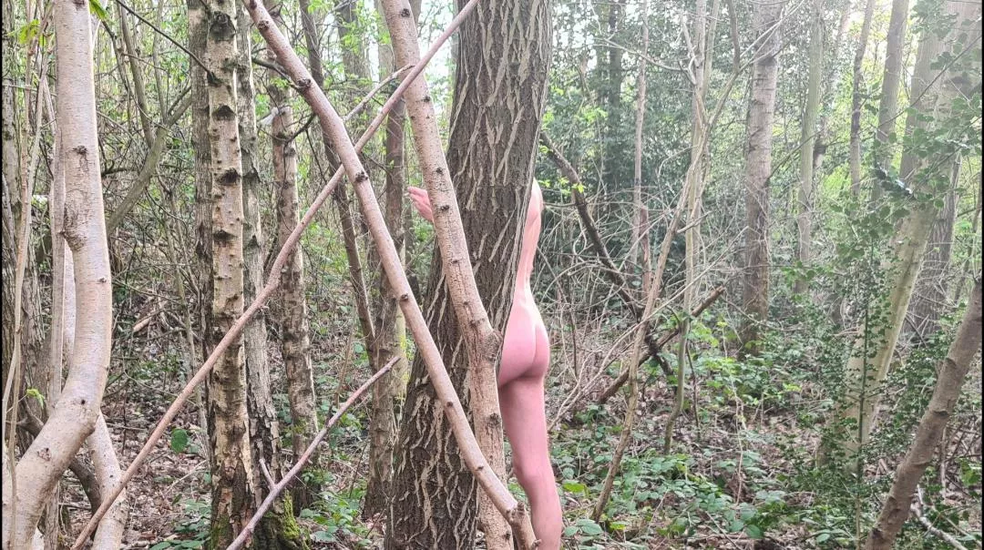 Becoming one with the tree's. posted by LongLeggedMackDaddy4