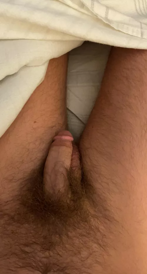 Bedtime for this guy! by Curved2theleft_1