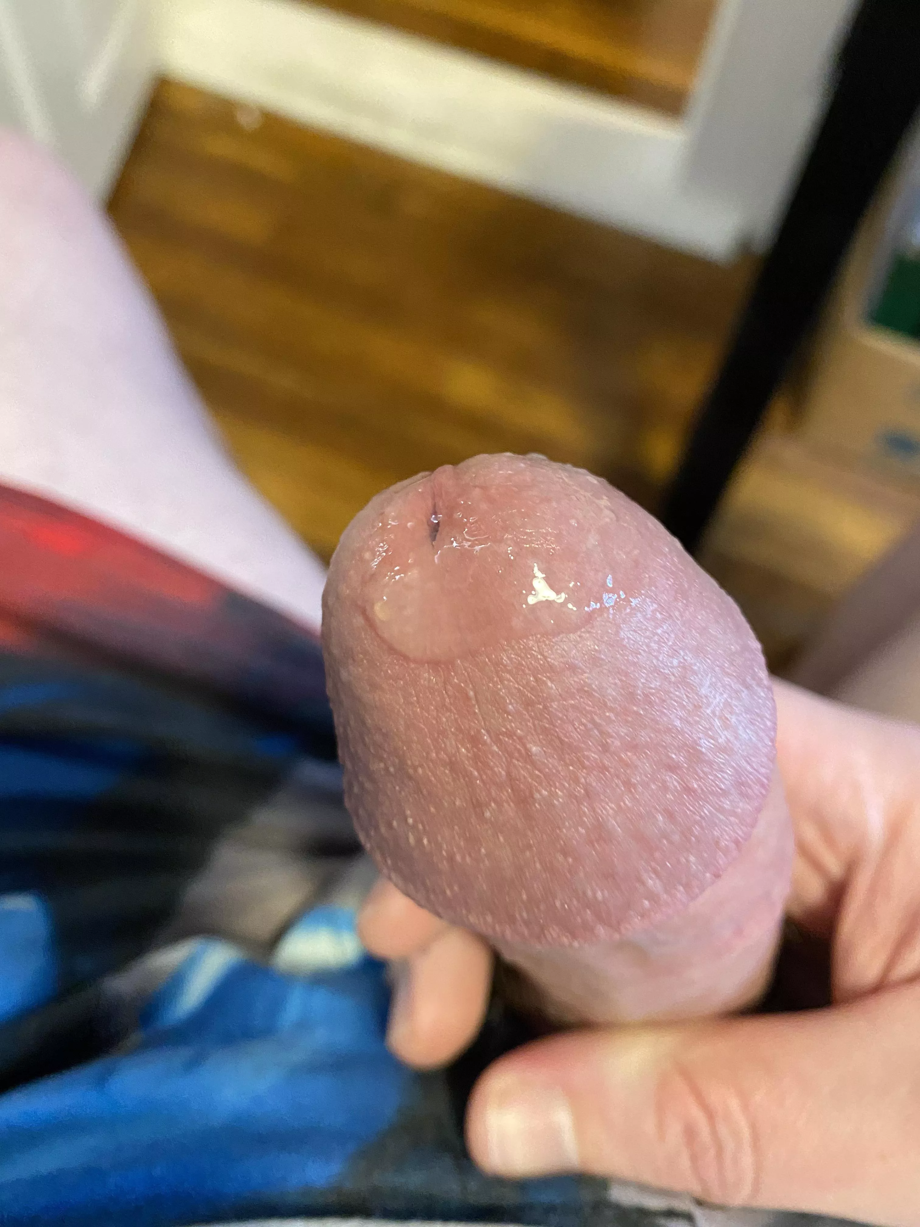 Been edging all day posted by throwawaygeek81