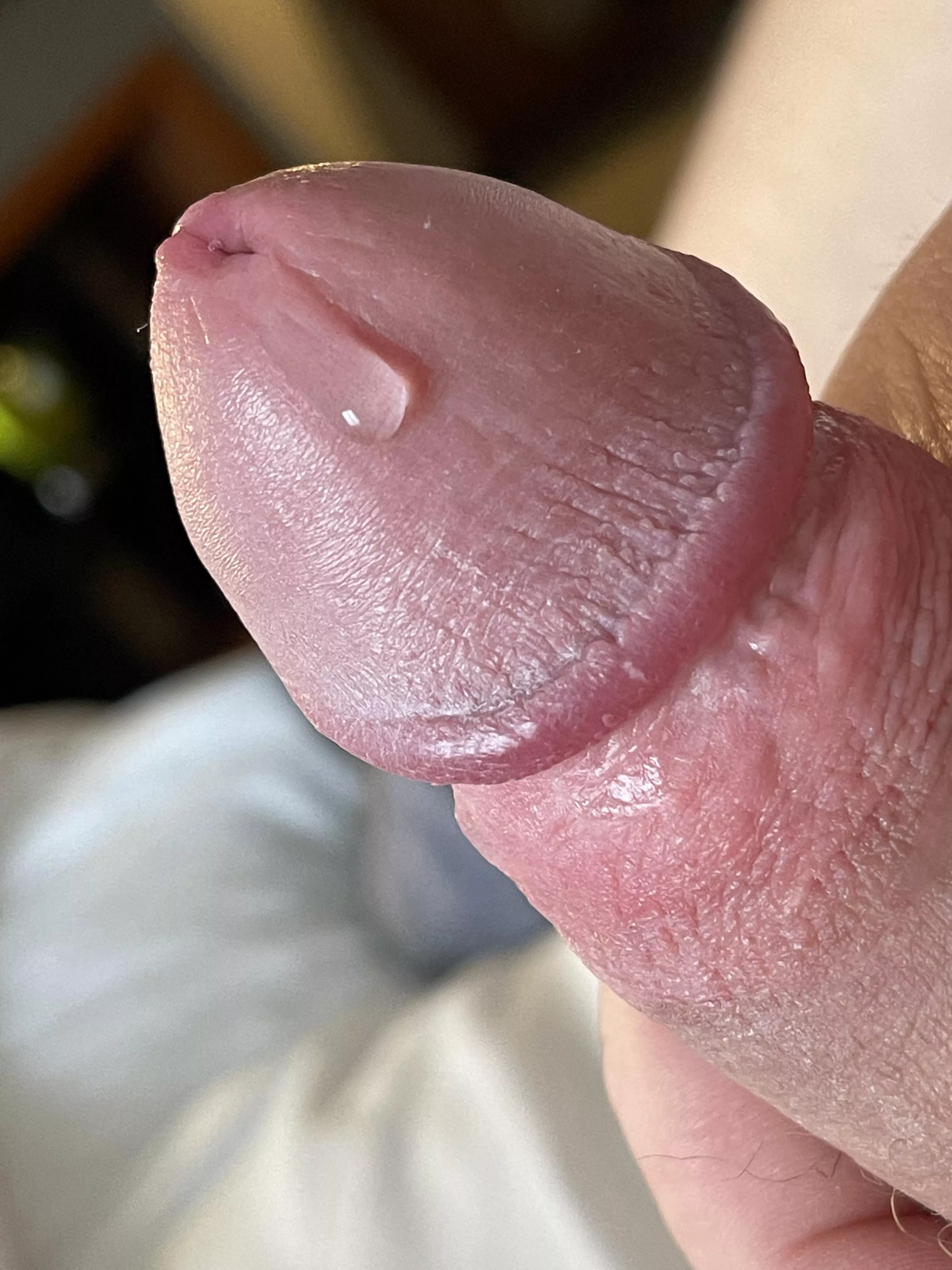 Been edging for hours posted by Utah_dad_bod