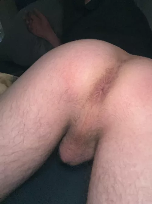 Beggin by Correct-External-812