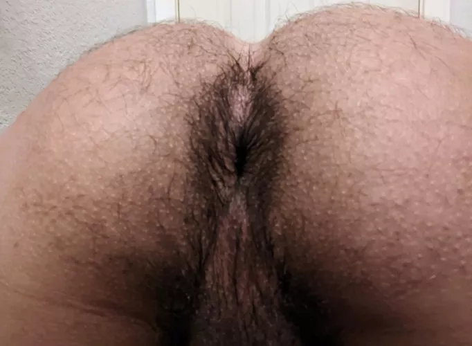 Begging for attention by 4L4D4B4