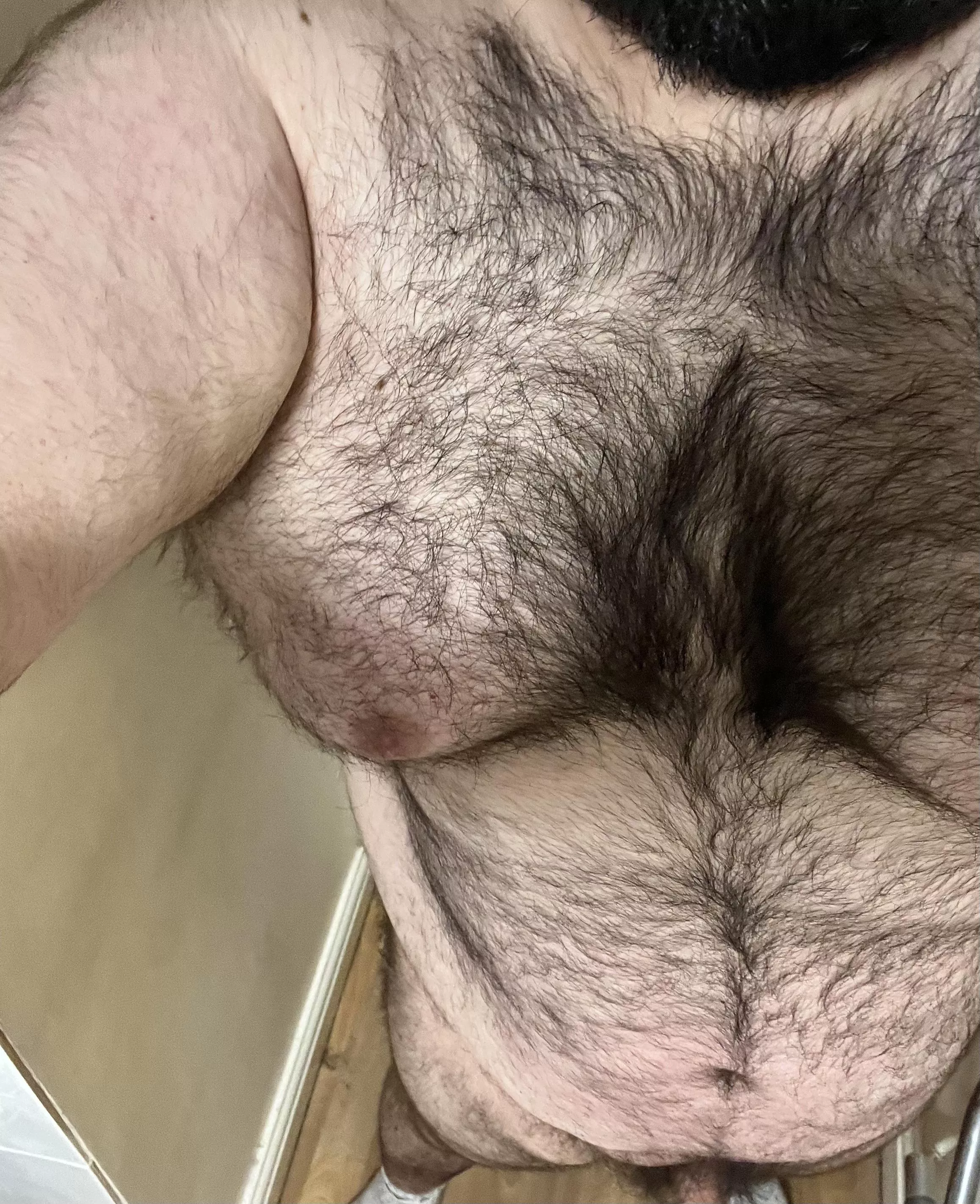 Behold, the hairy chub posted by Bear-lyStraight