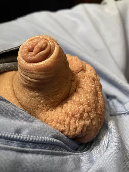 Being free (40) by Friendly-Jacket-1793