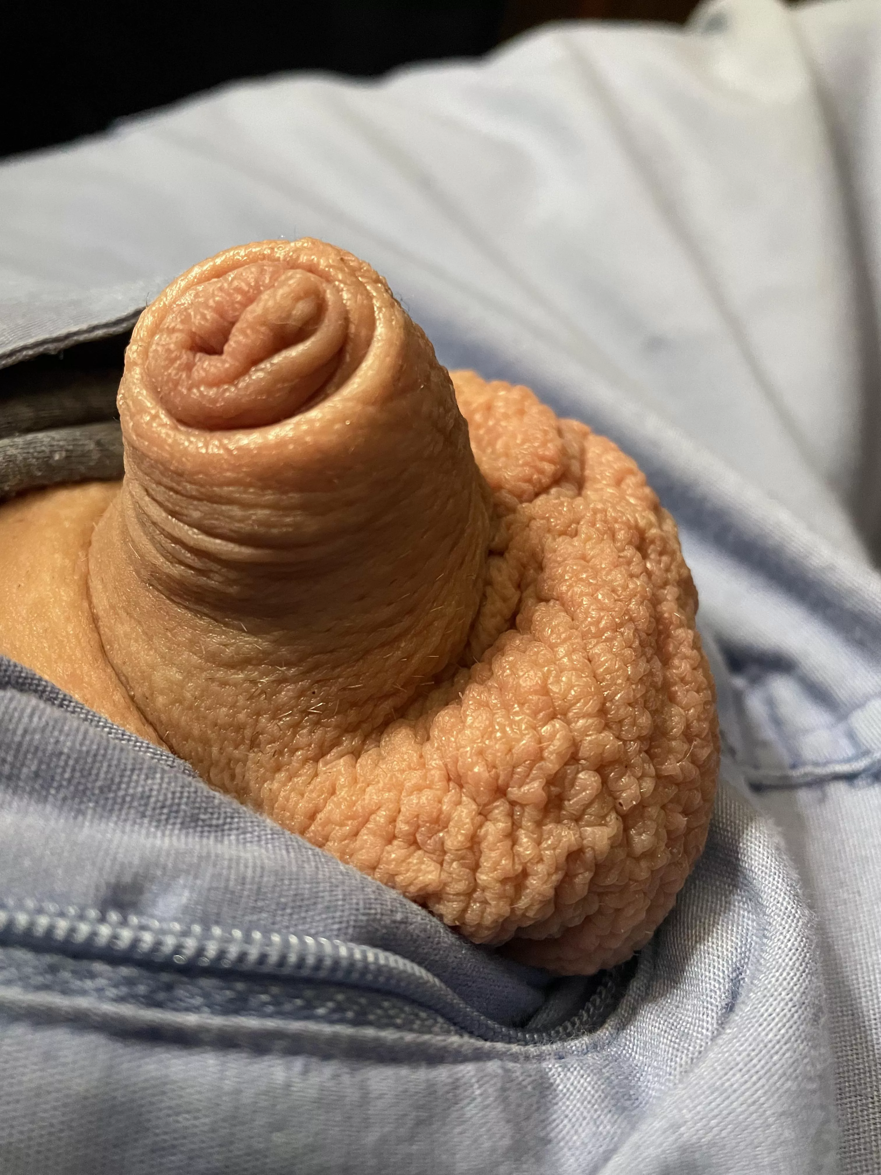 Being free (40) posted by Friendly-Jacket-1793