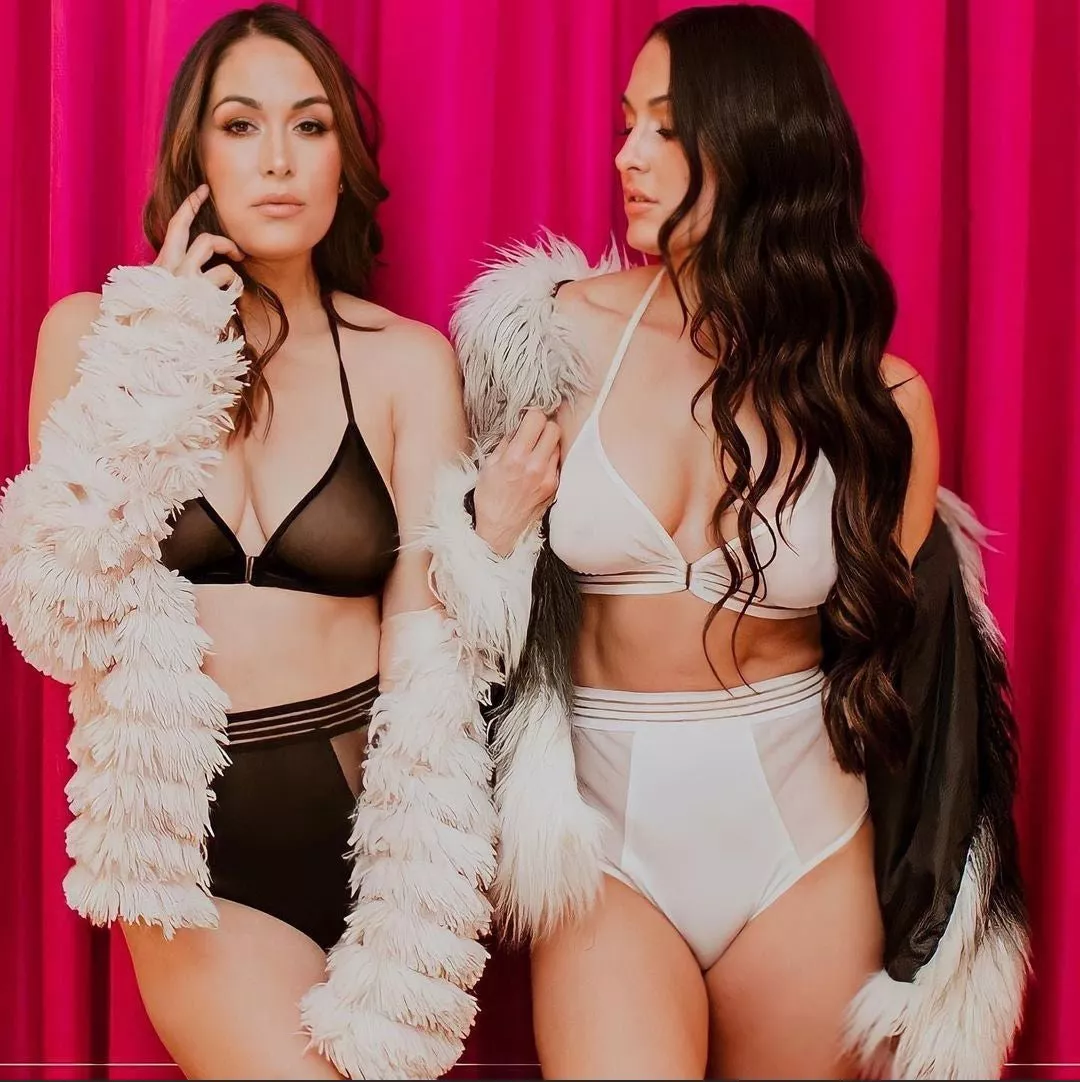 Bella Twins posted by Dub209