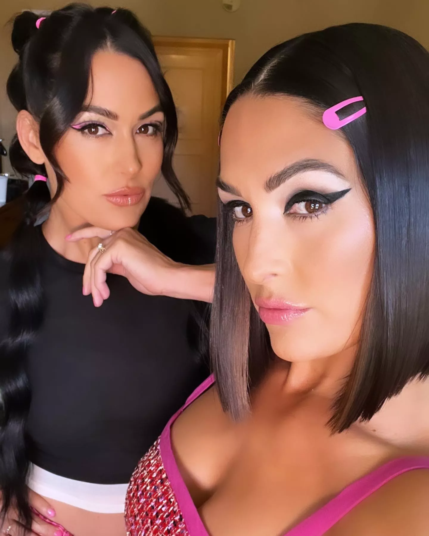 Bella Twins posted by TittyMasterFiend
