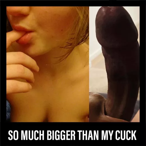 Bet she would love my BBC as much as my last slut did. Kik 8inColoradoBull by 8inHungMixedBull