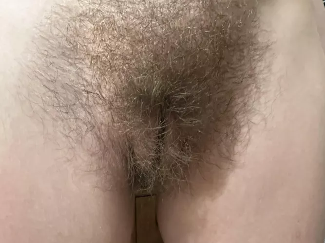 Beware the moon, David. by Sabrinaxh