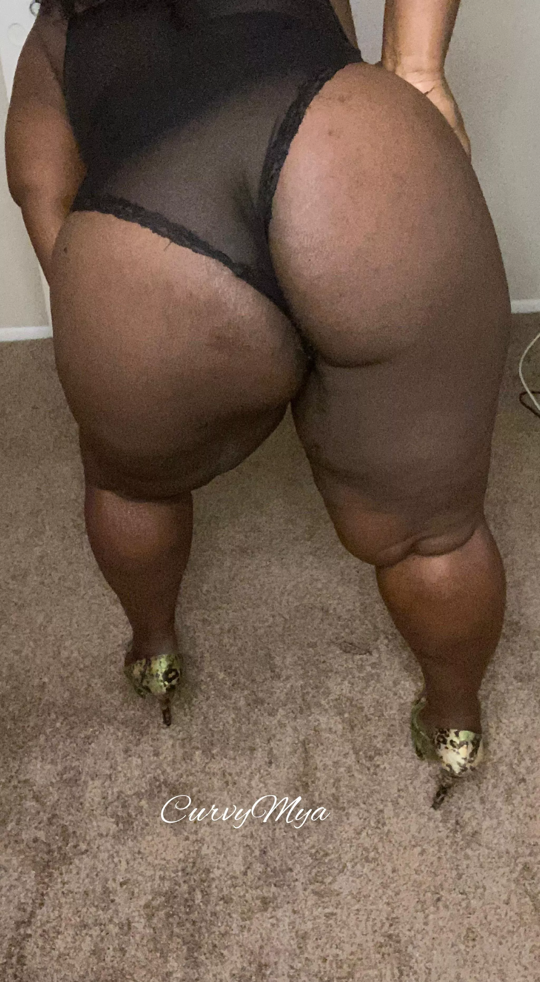 Big Black Ass Fetish Lovers posted by Curvymya