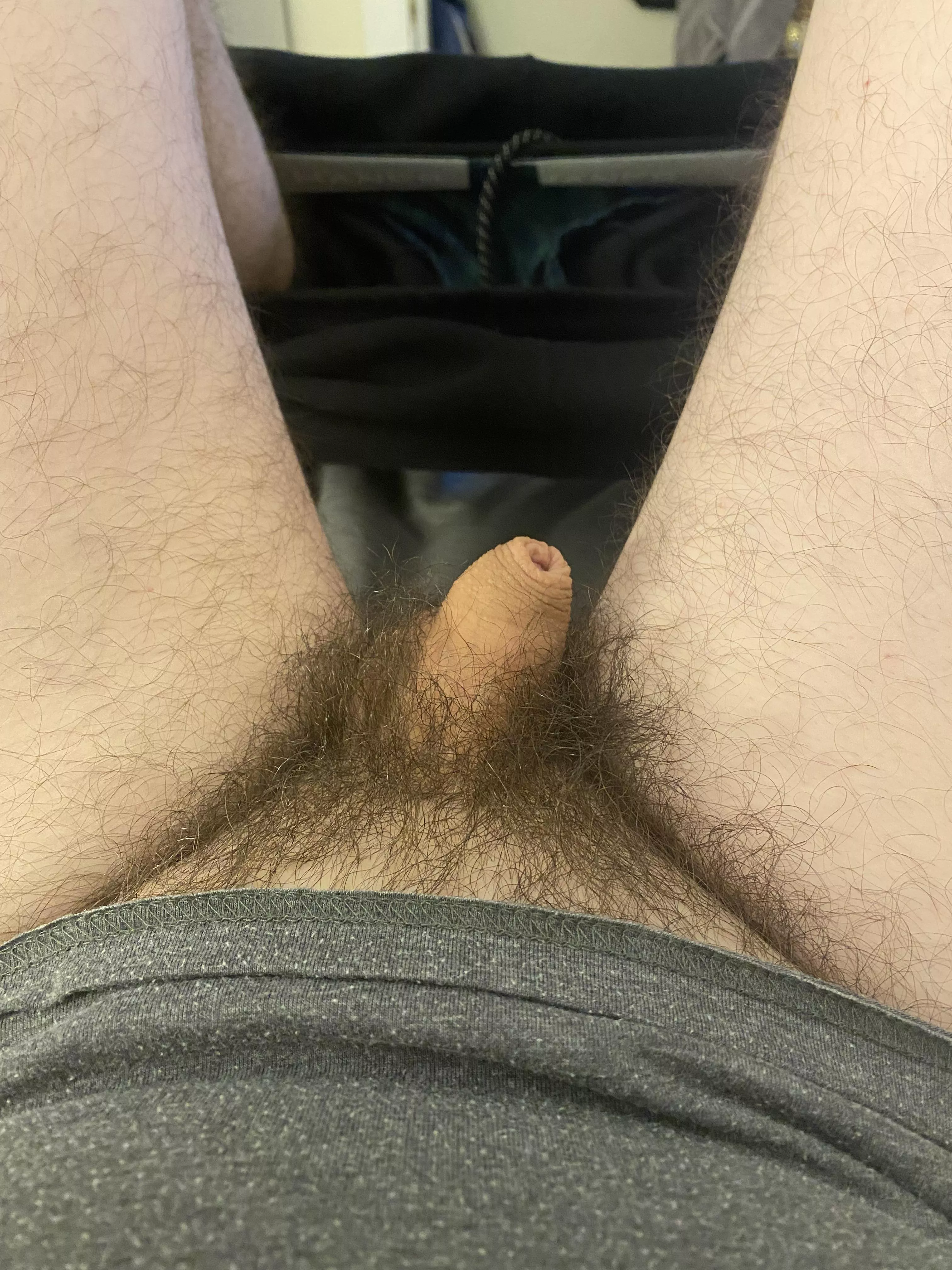 Big bush, little dick. Time for a trim I think. posted by highstakes1010