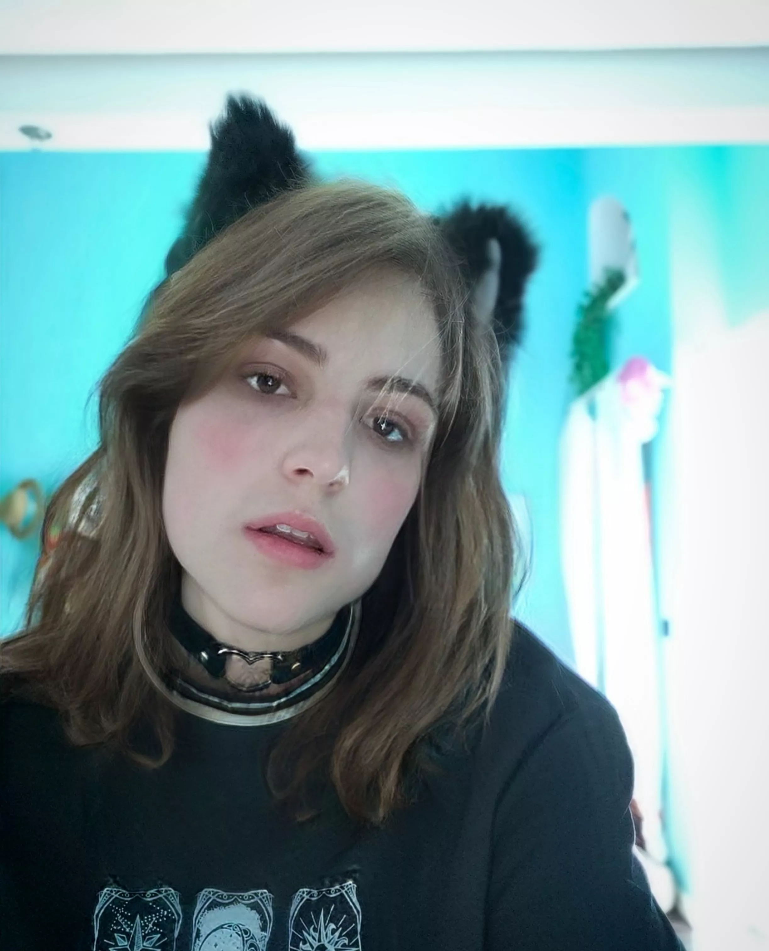 Big ears posted by Eckenschlong