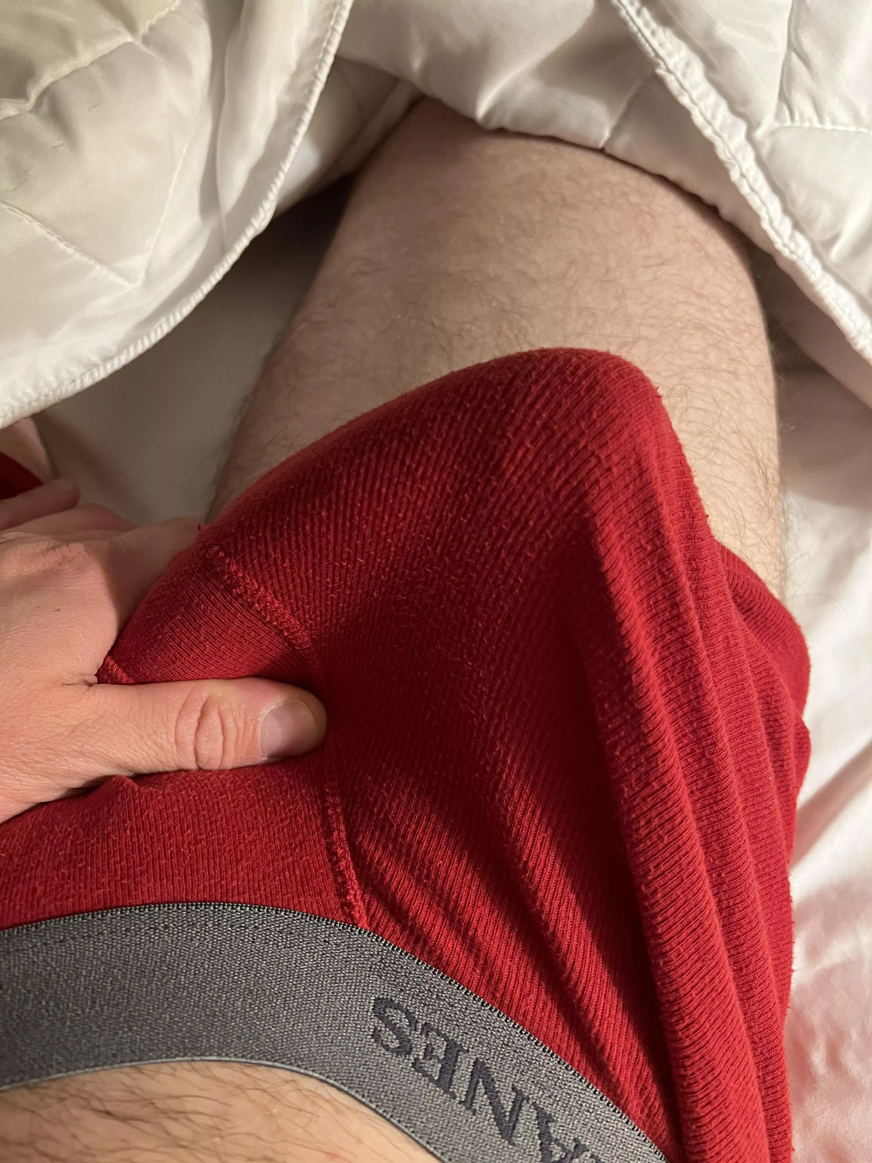 Big, red, and in my bed. posted by ThickNickPicnic