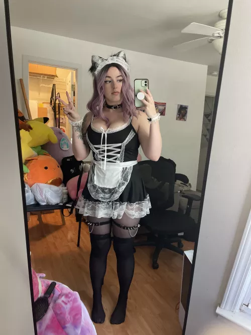 big tiddy cat maid at your service by hollinova