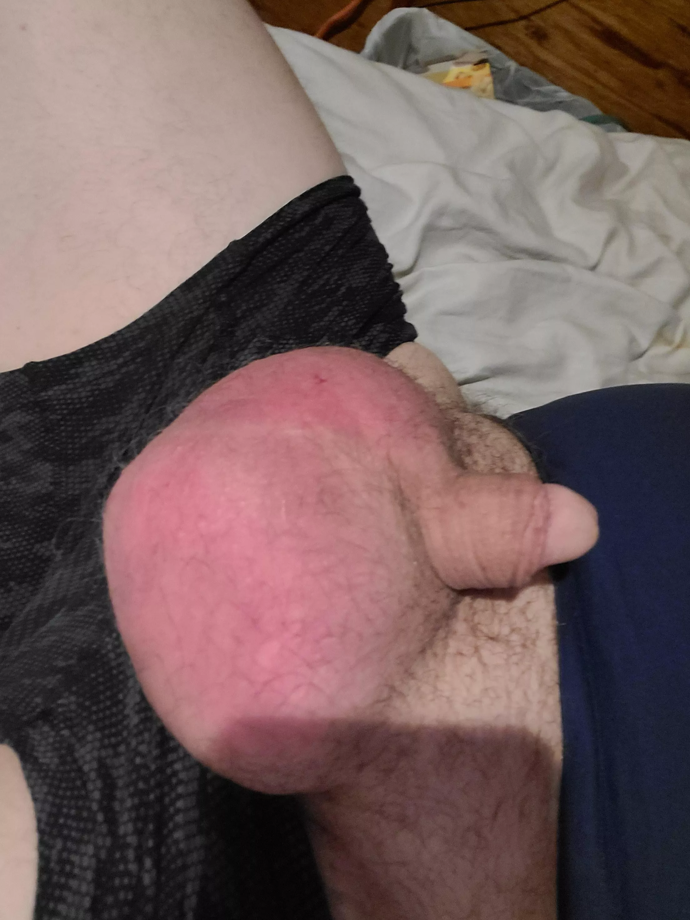 Bigger is better right? posted by phellxion