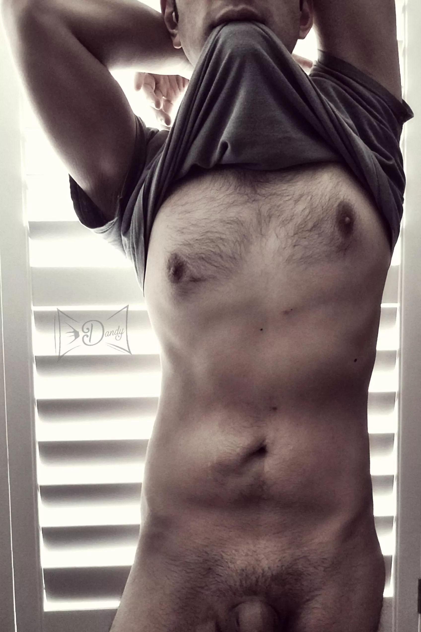 Bite and Shine Or Rise and Bite? Choose Your Adventure This Shirt Bite Saturday. posted by FineAndDandyDaddy