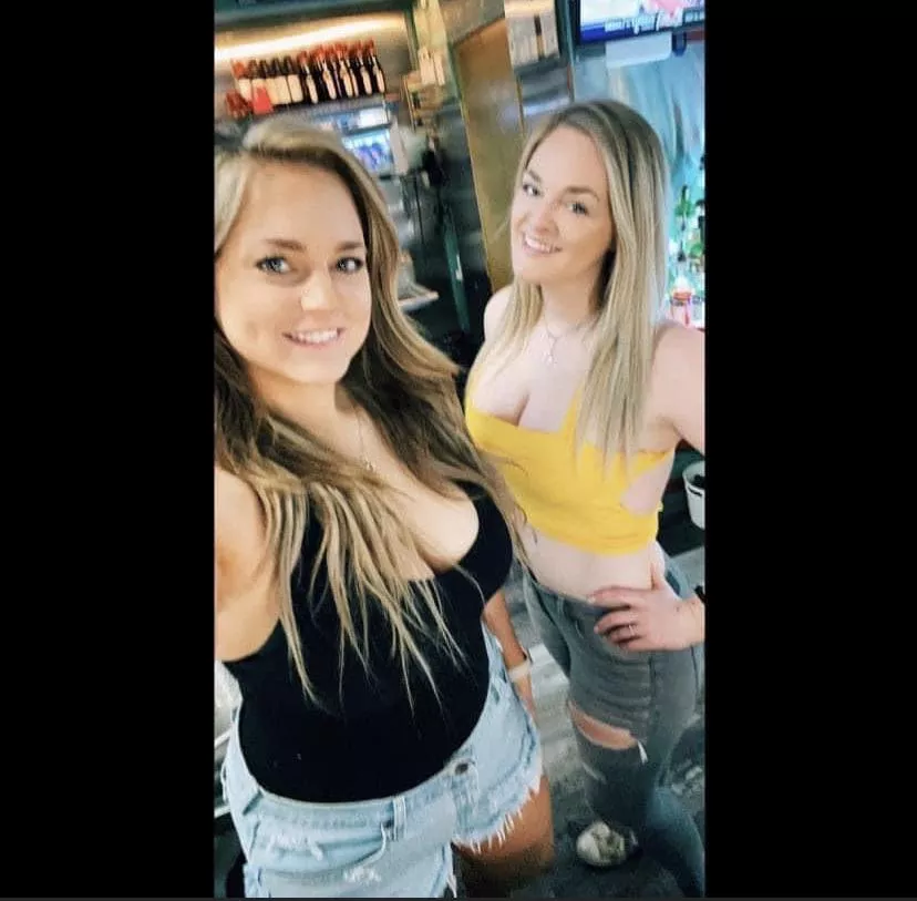 Black or Yellow posted by sanntonio