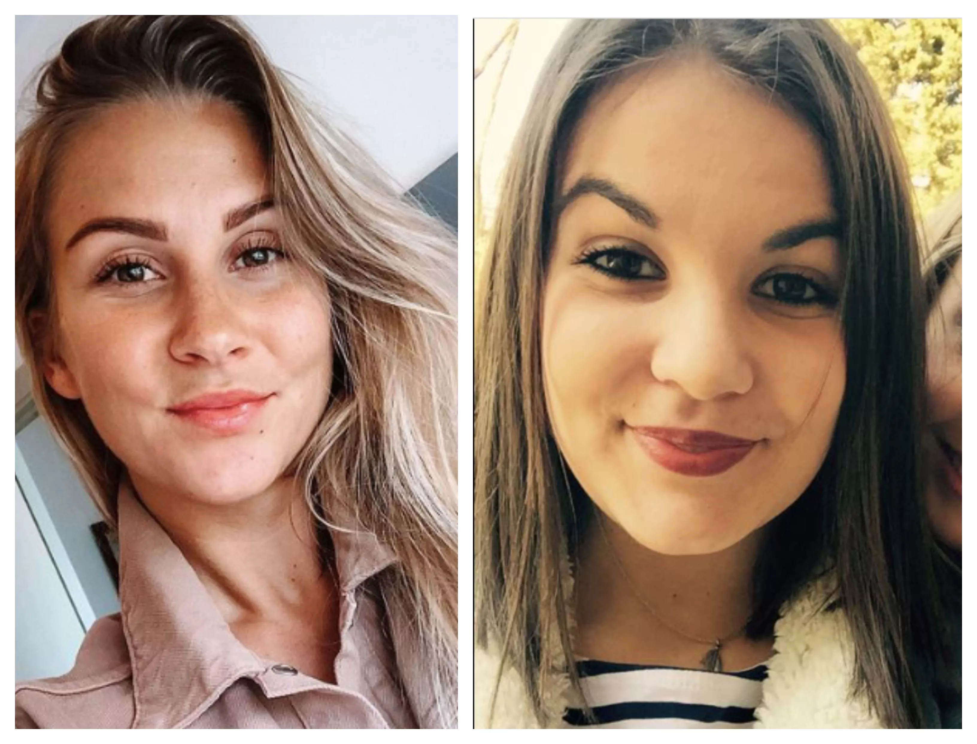 Blonde or Brunette posted by Vklo