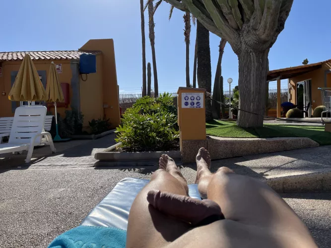 Boner at the hotel pool by Ok_Explorer9930