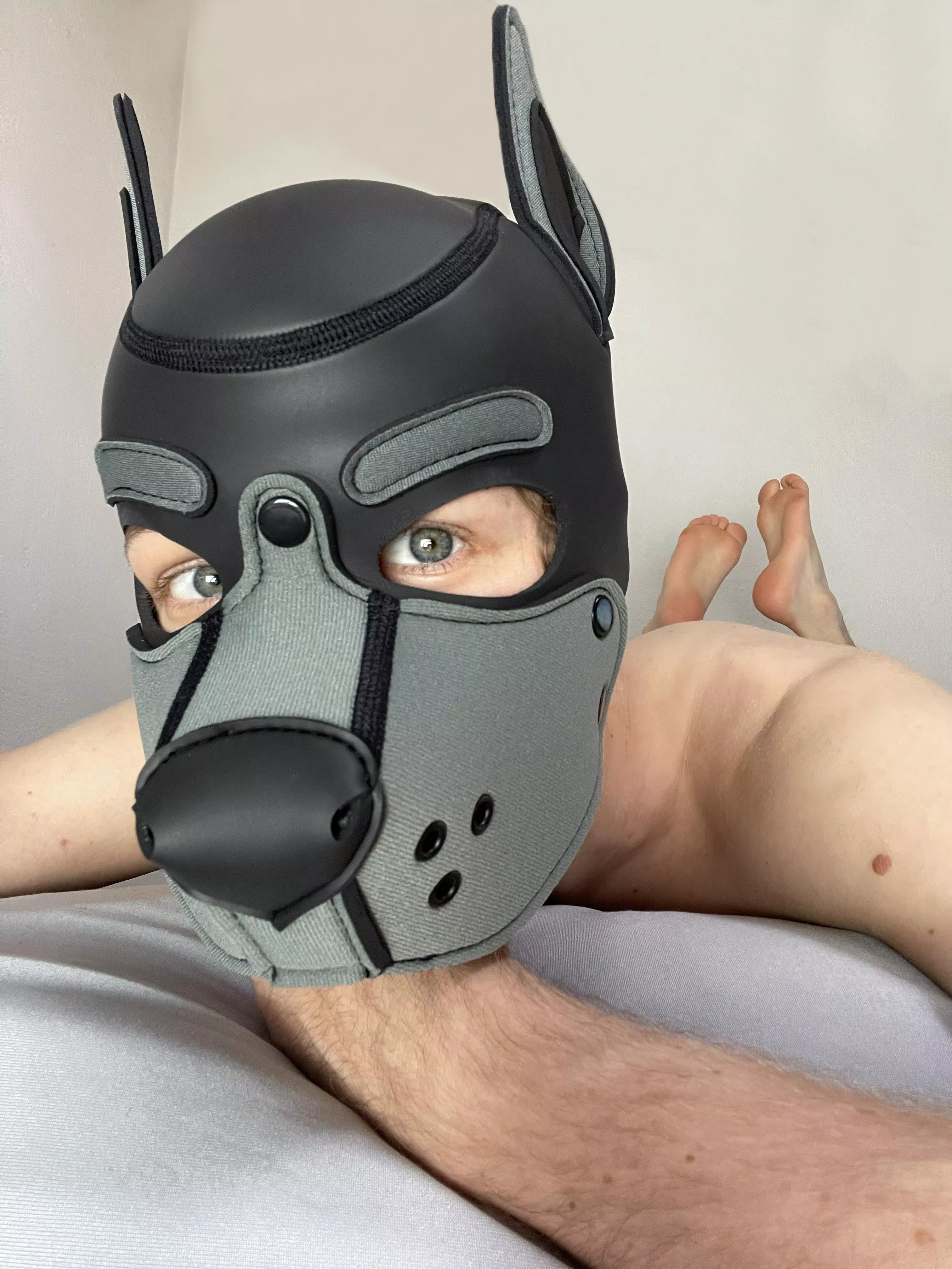 boop! posted by puppyrufus