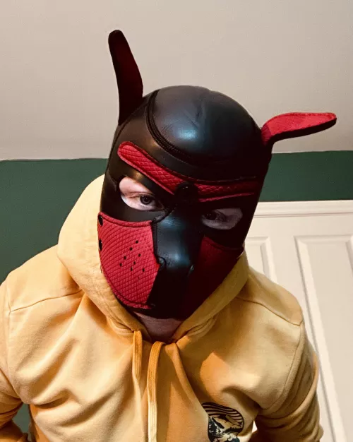 *boop* ruff by Malos_AD