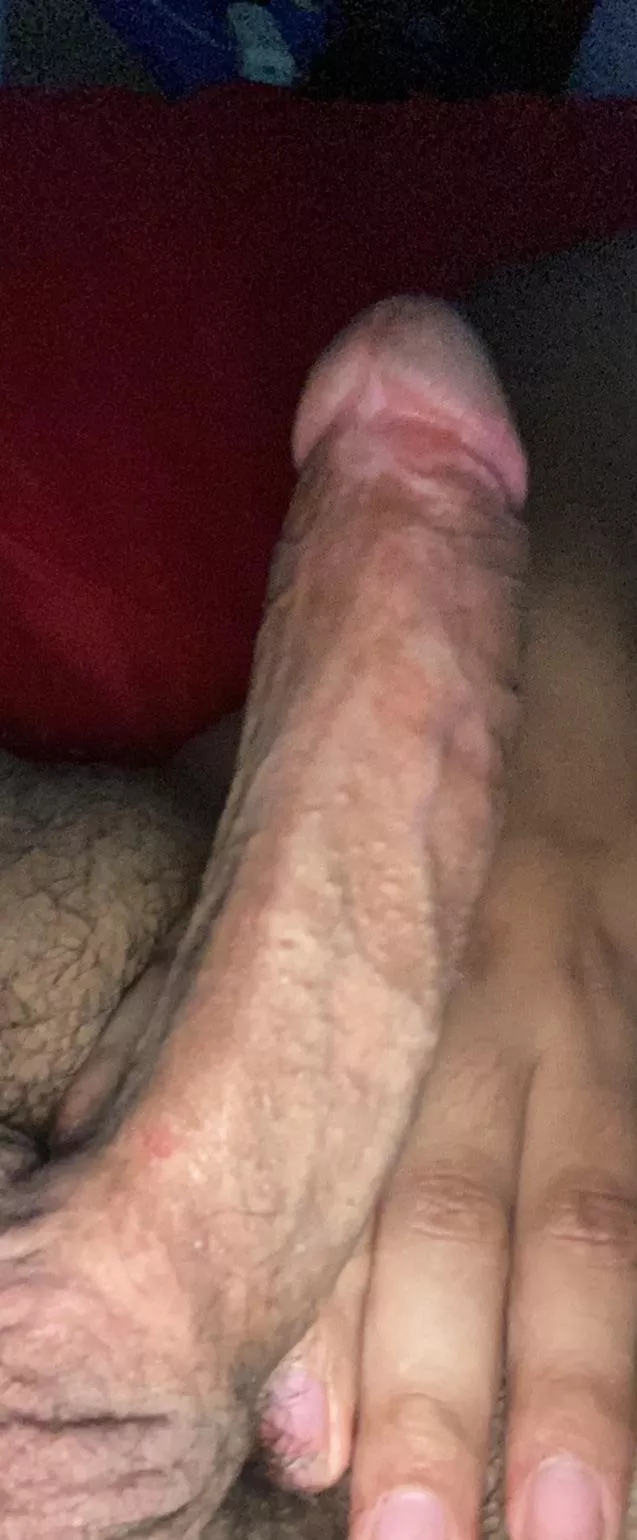 Boring sunday, wanna have fun?! Sext, dm, ffllowme posted by Winter-Ad9