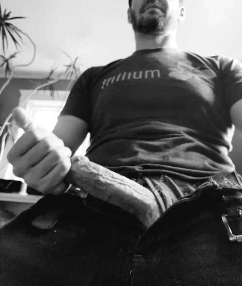 Boston dick doesnt mess around by TheLowB