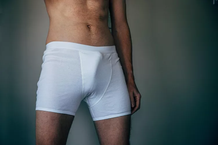 Boxer bulge by myclassycock