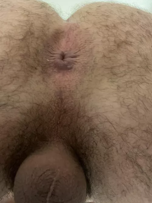 Boyfriend sent me a pic of his hairy little asshole by nastyferrever