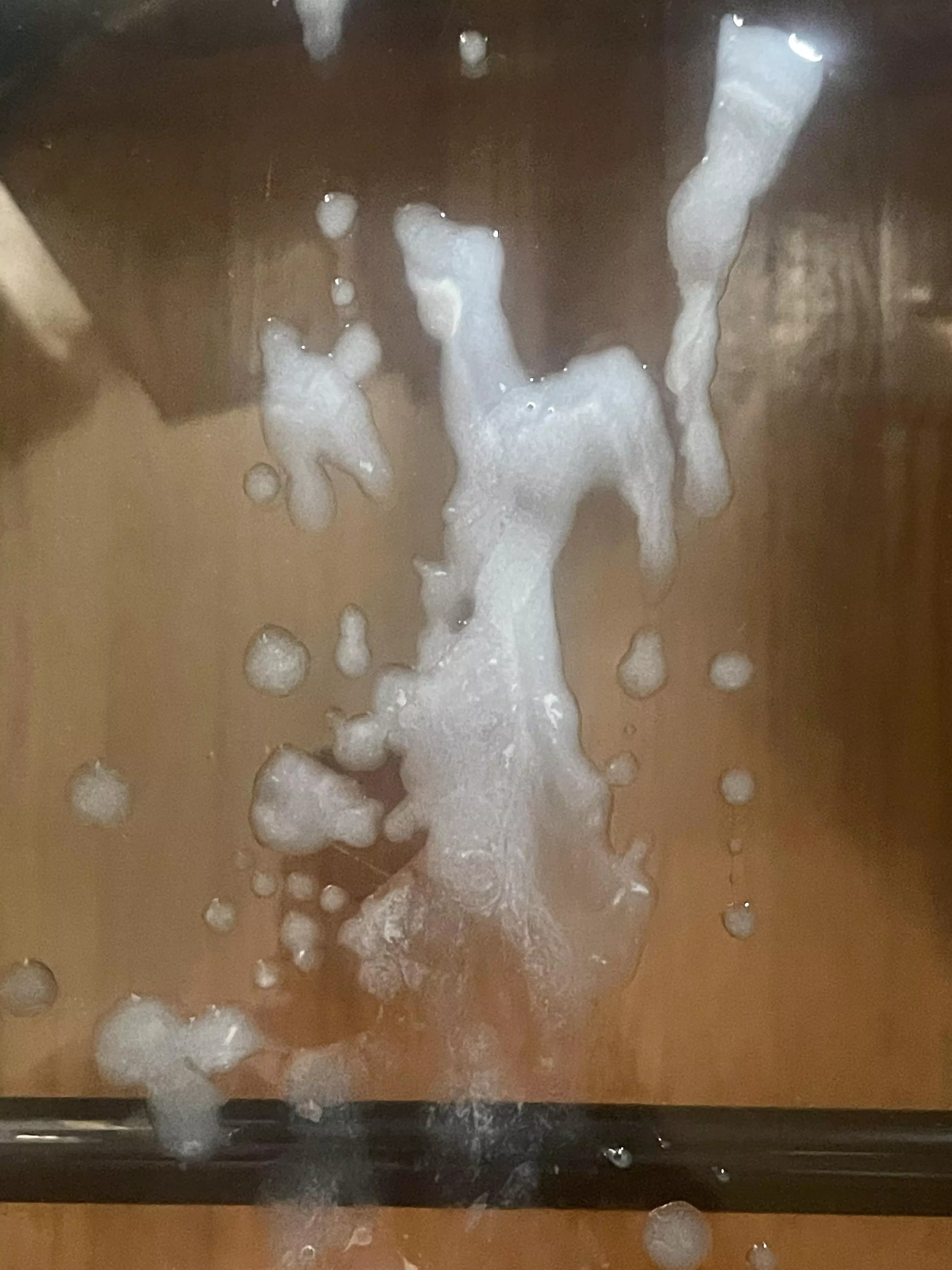 Breakfast? posted by Necessary-Sherbert35