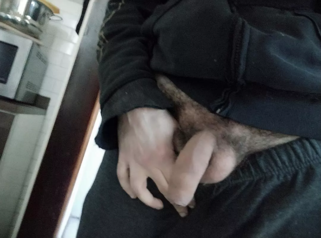 Breakfast together? posted by Barbagianni74