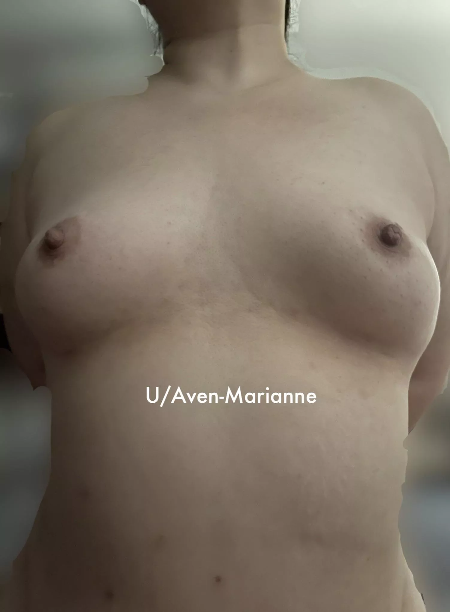 Breaking Dawn [MF] posted by Aven-Marianne