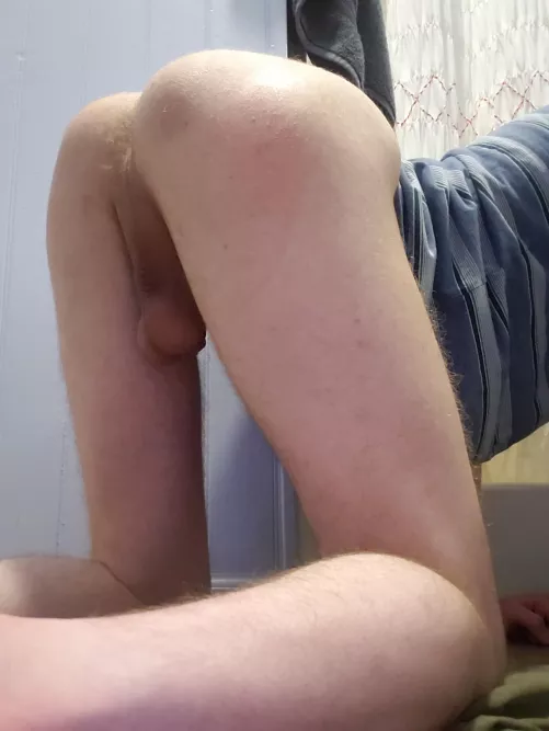 breed me? by sjwiwifuf738282