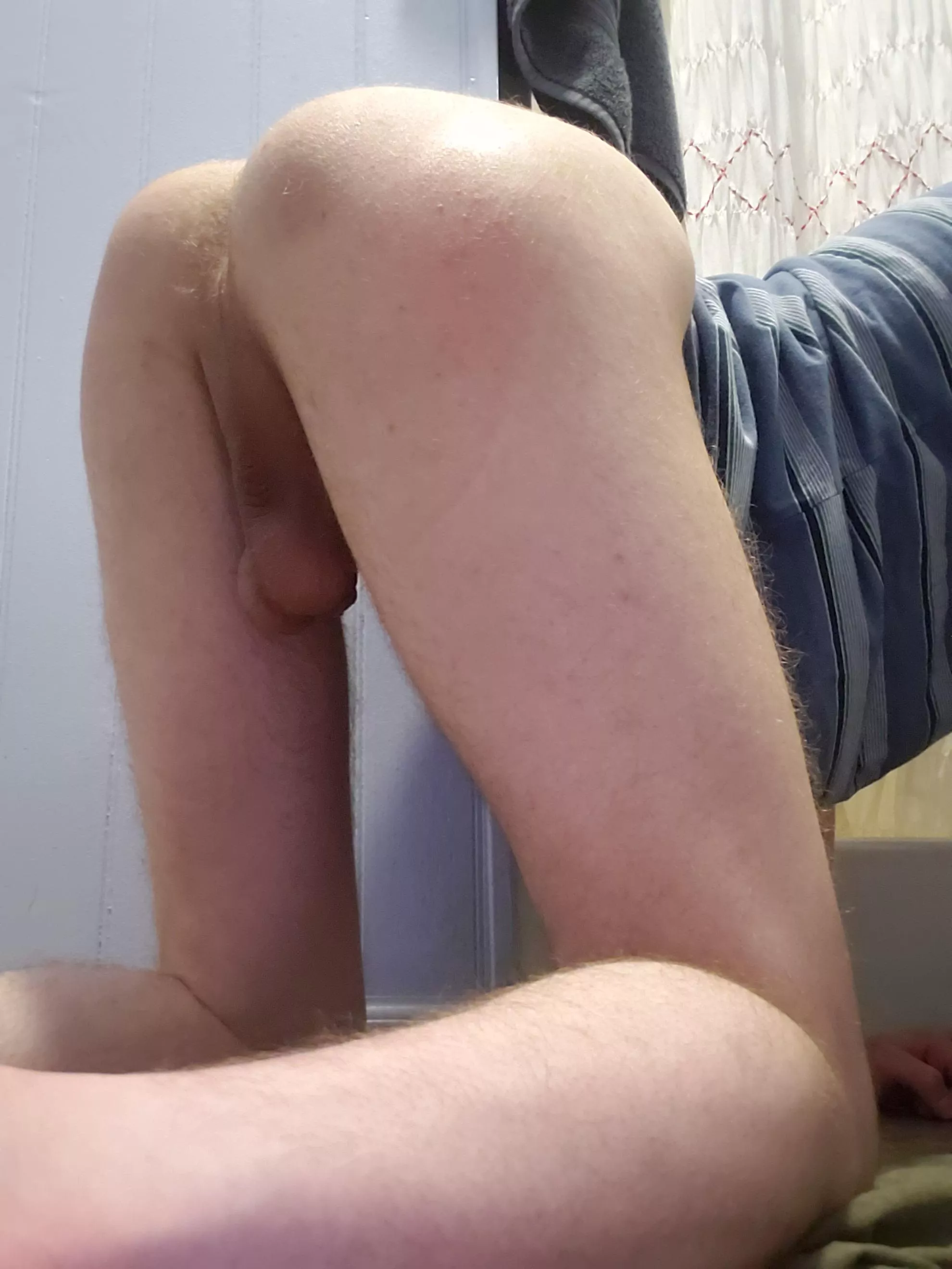 breed me? posted by sjwiwifuf738282