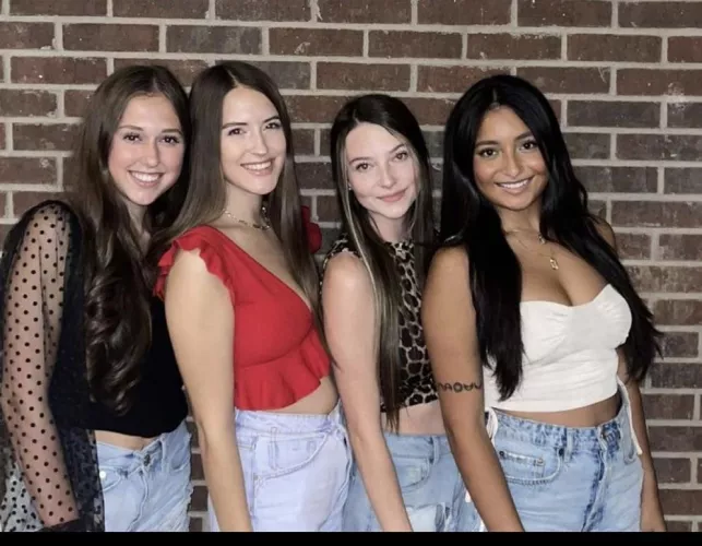 Breed one by Plenty_Grand_9510