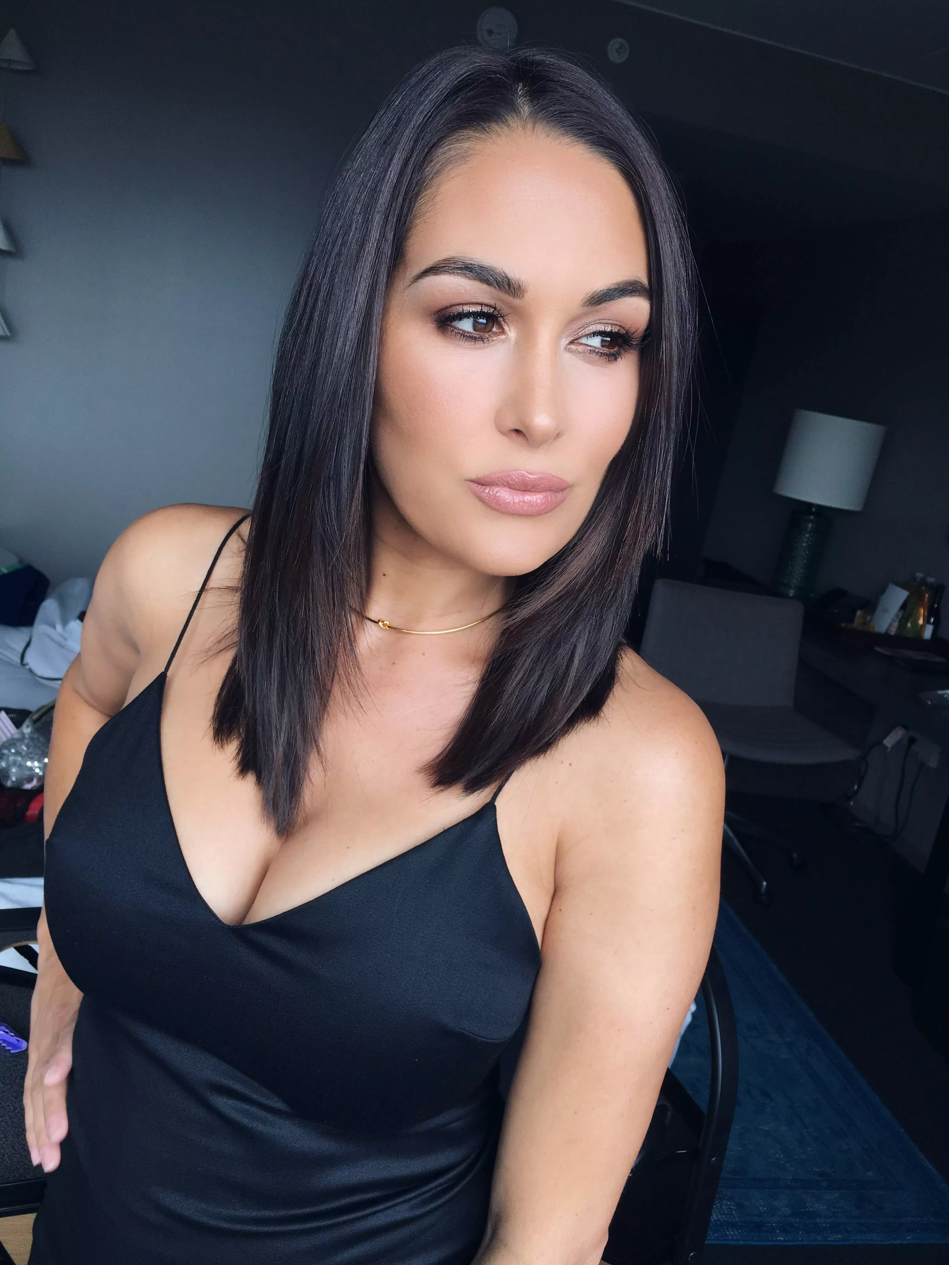 Brie Bella posted by Funeral_Editor